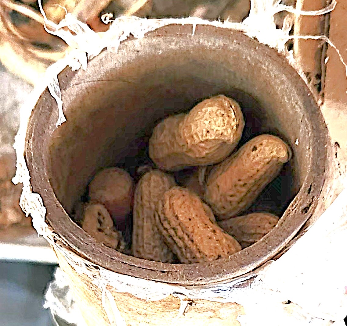 Cardboard tube filled with peanuts after the plug was removed